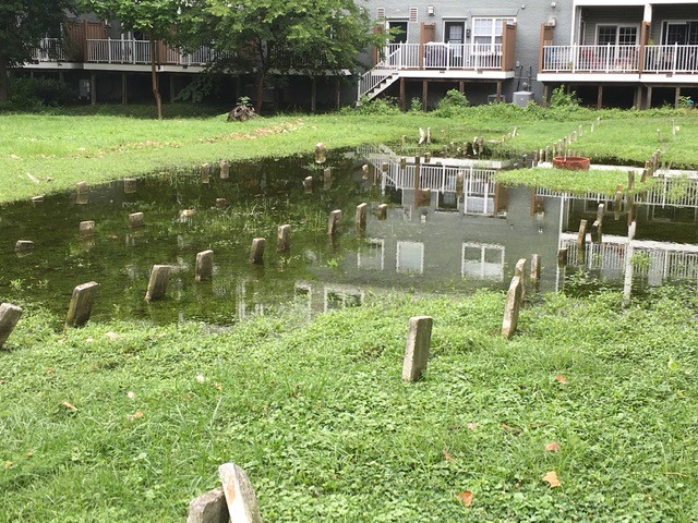 Douglass Cemetery Drainage Issue October 2021