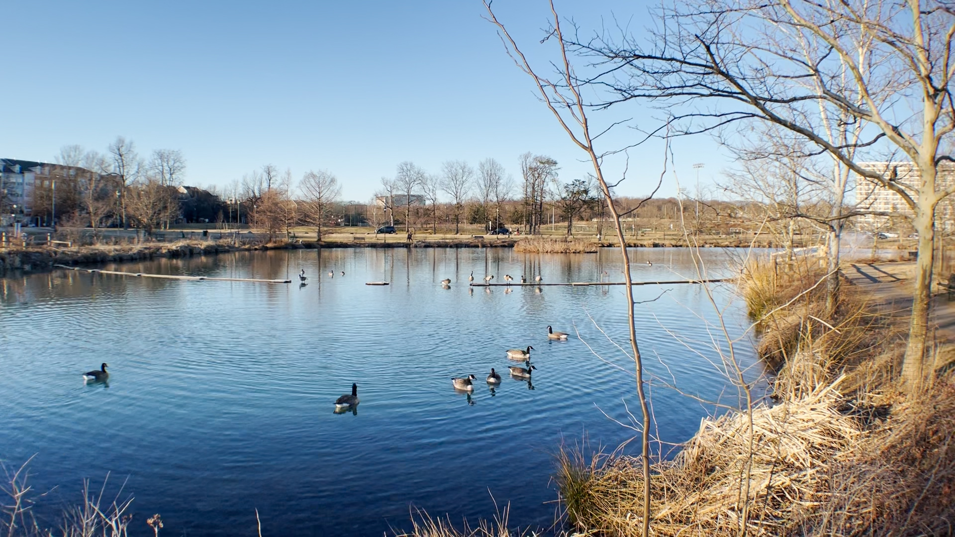 Ben Brenman pond 