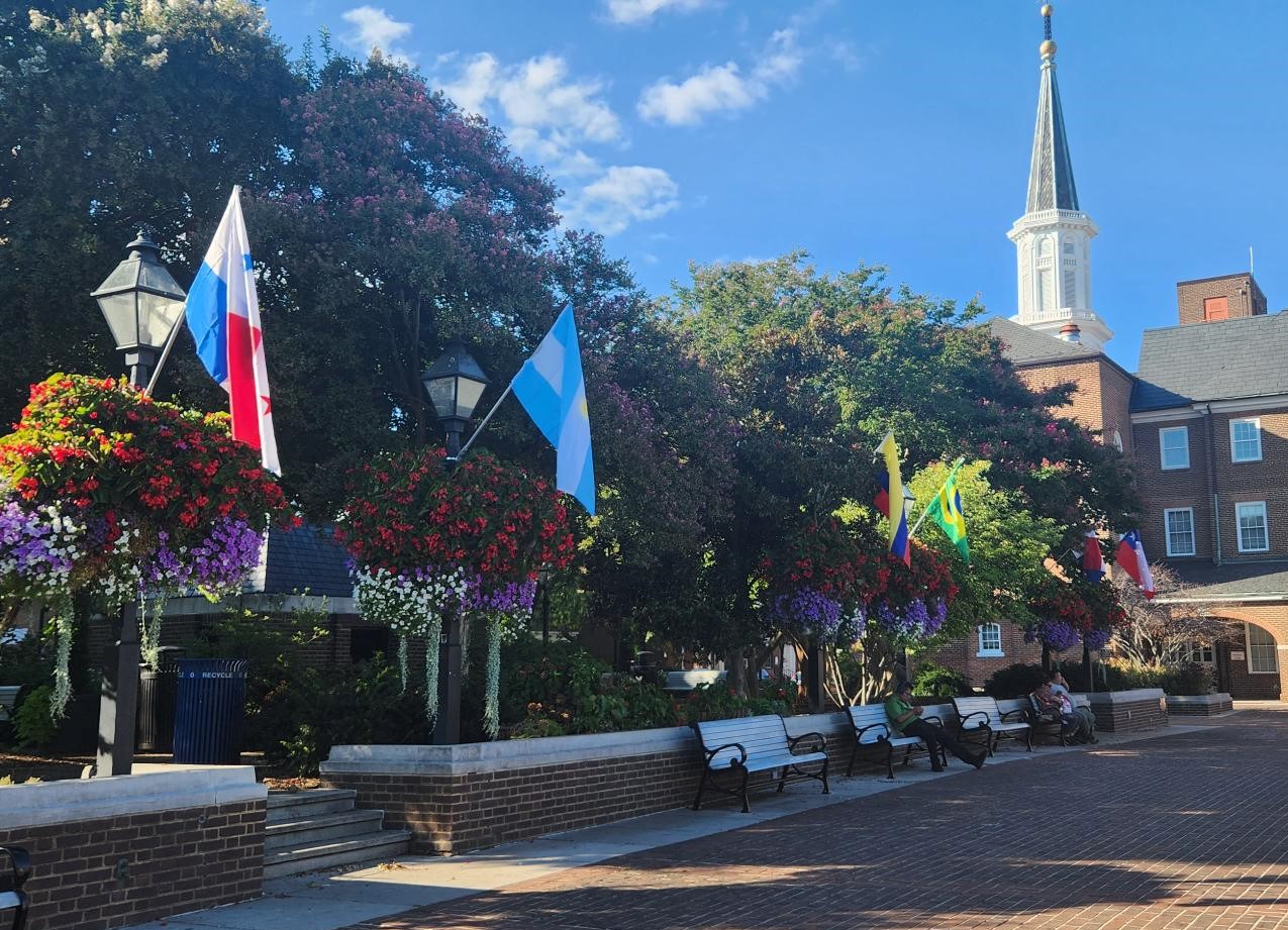 HHM Market Square Flags