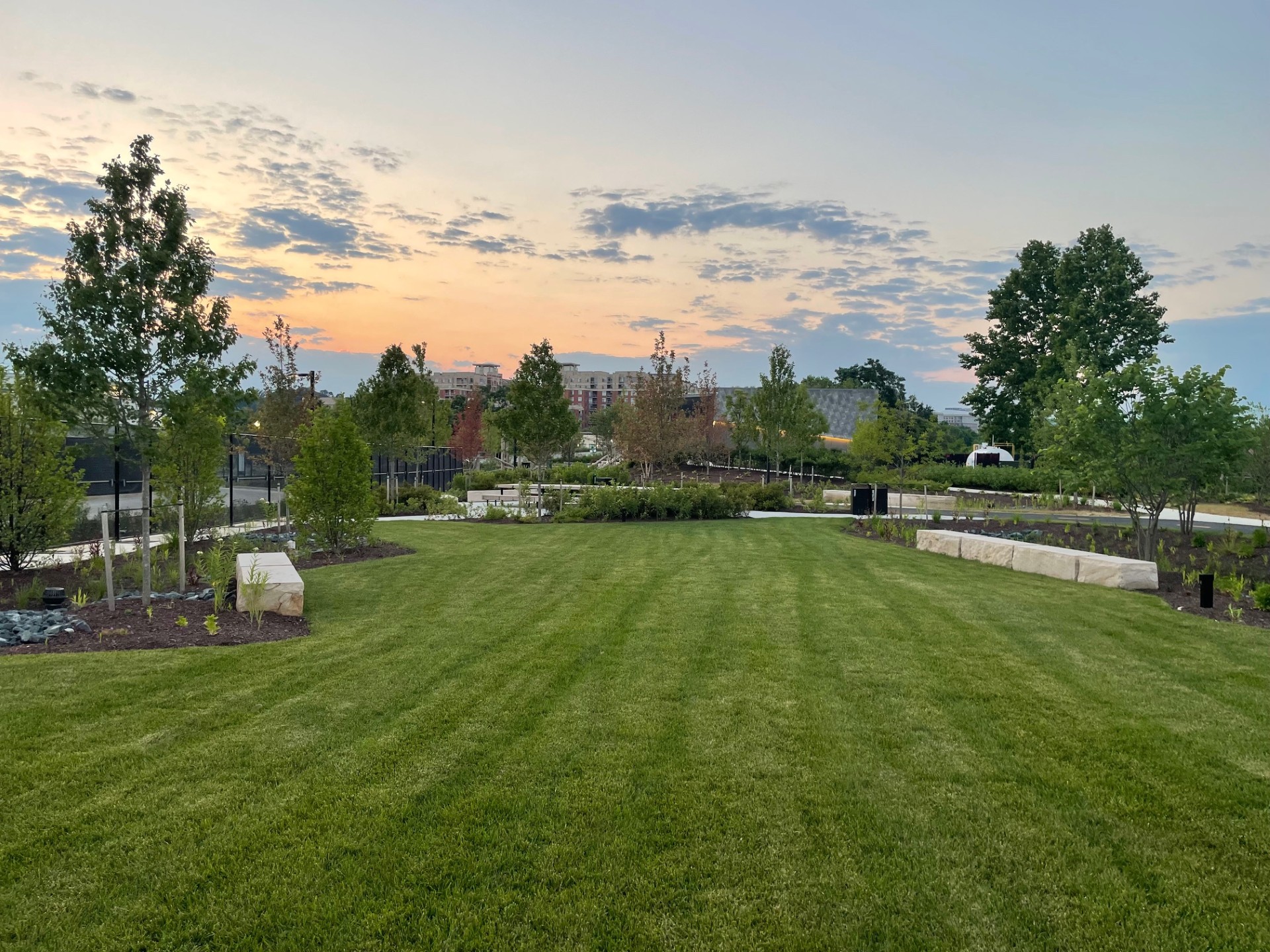 picture of trees and green space at sunset