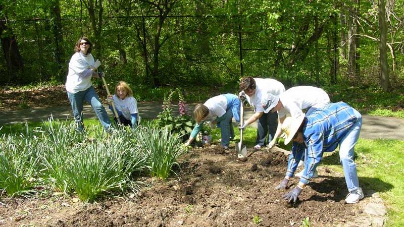 Volunteer Group at the Nature Center