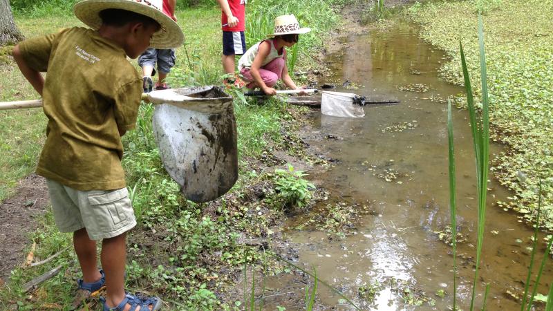 Children at a stream with nets