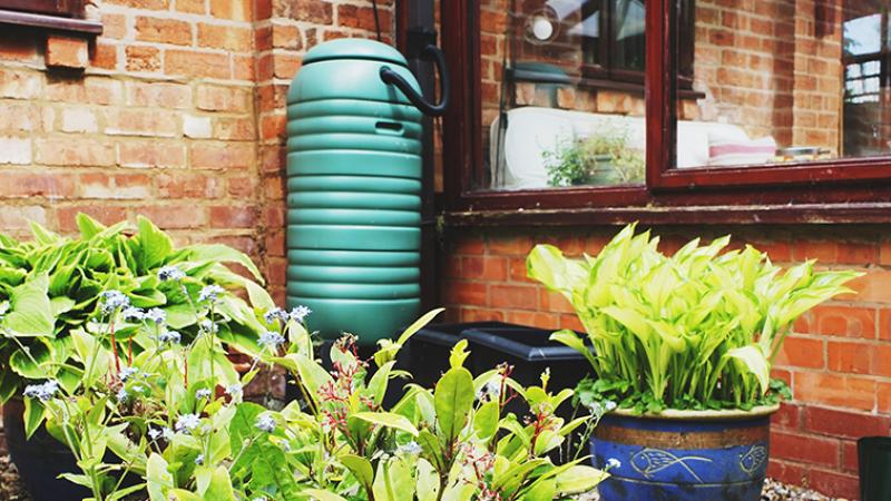 Rain Barrel in Residential Yard photo