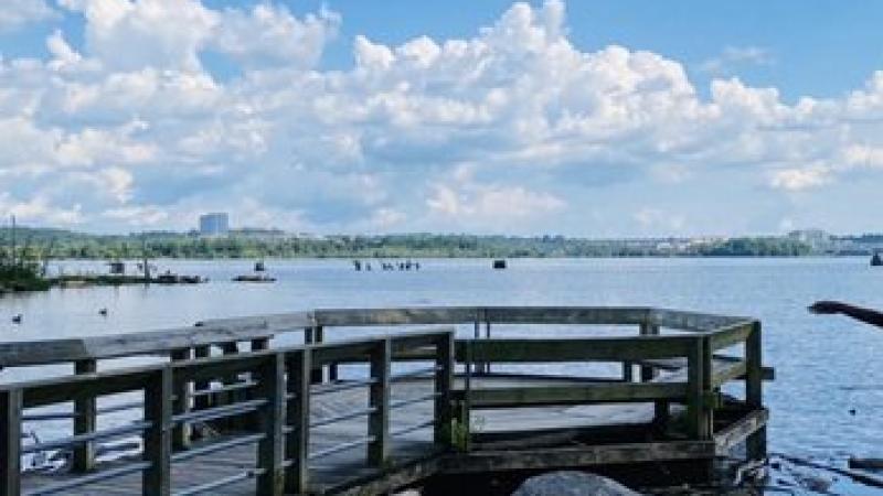 Pier at Oronoco Park