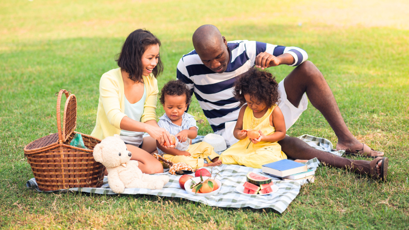 RPCA Community Family Picnic Webbox