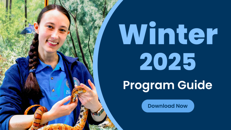 Winter 2025 Program Guide Webbox