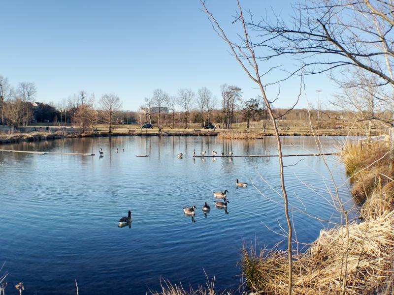 Ben Brenman pond 