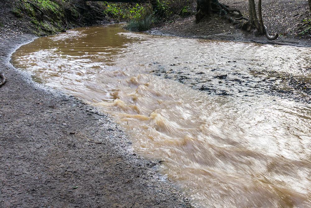 Brown stream water 