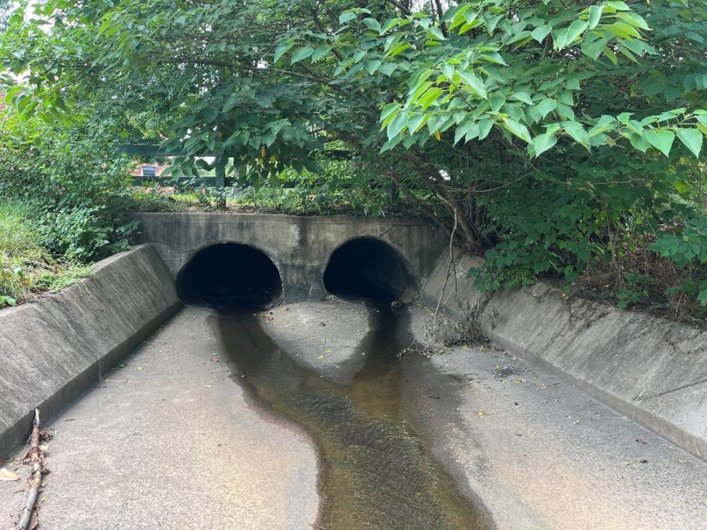 Photo of the Mt. Vernon Avenue culvert headwall