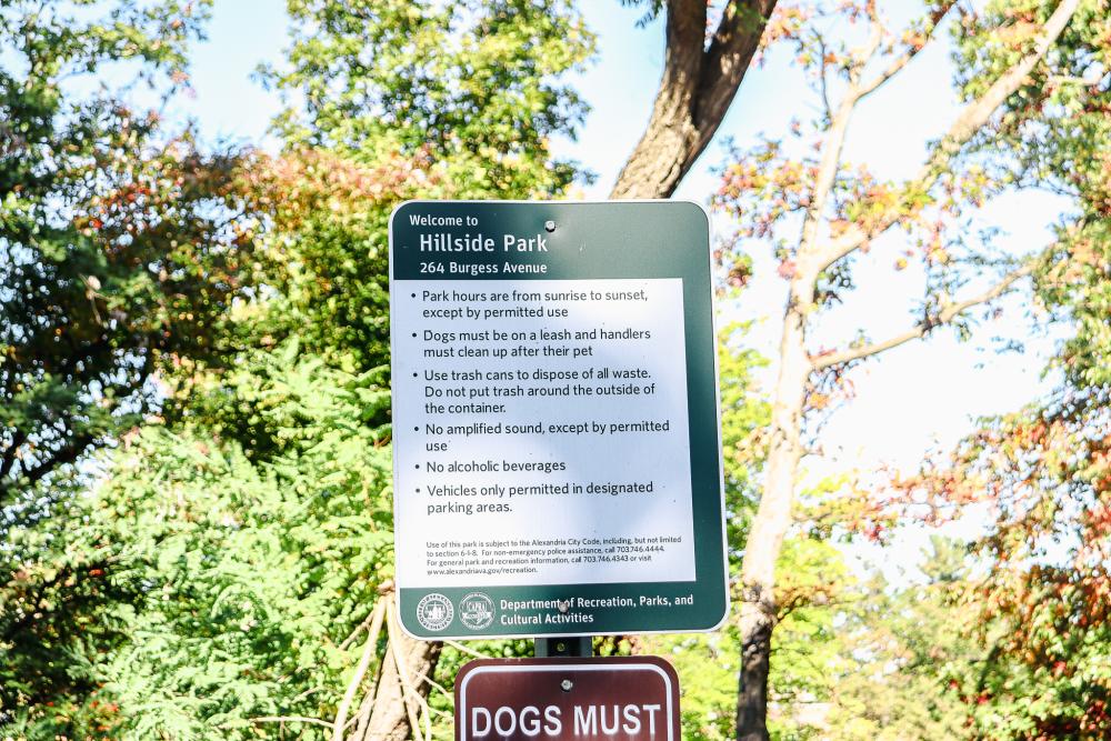 Hillside Park Image 9