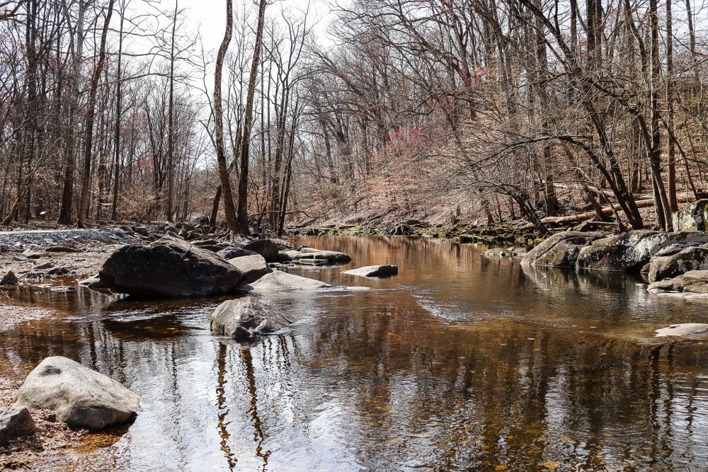 RPCA RO Dora Kelley Nature Park 13