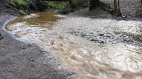 Brown stream water 