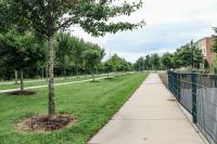 Potomac Yard Park Image 19