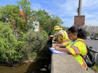 Annual Inspections Backlick Run