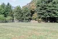 Freedmen's Cemetery Grassy Area RPCA