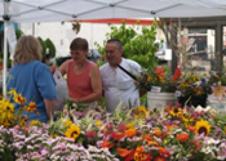 Farmers Market Del Ray