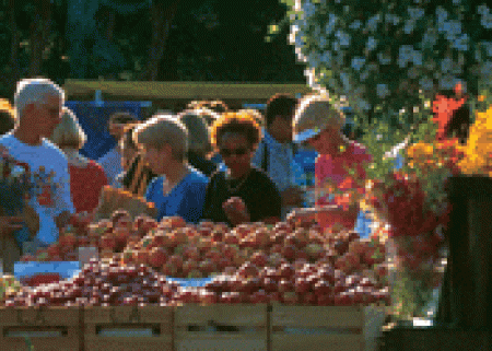 Farmers Market Market Square