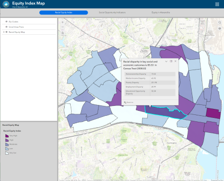 Screenshot of the Equity Index Map