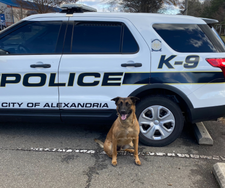 K9 Axl