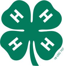 4H logo